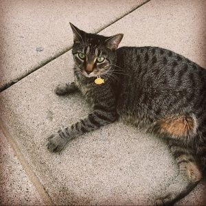 Meet your Posher, Molly